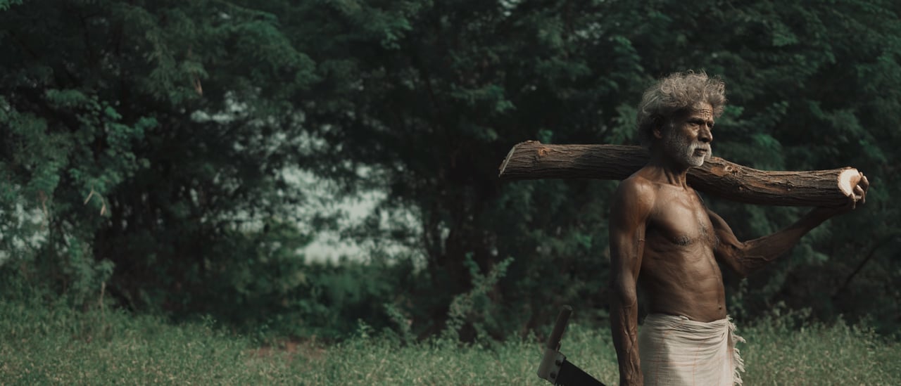Wood cutting