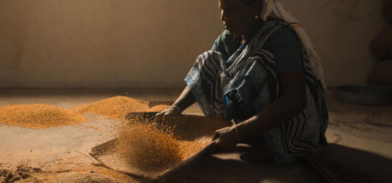 Rice india