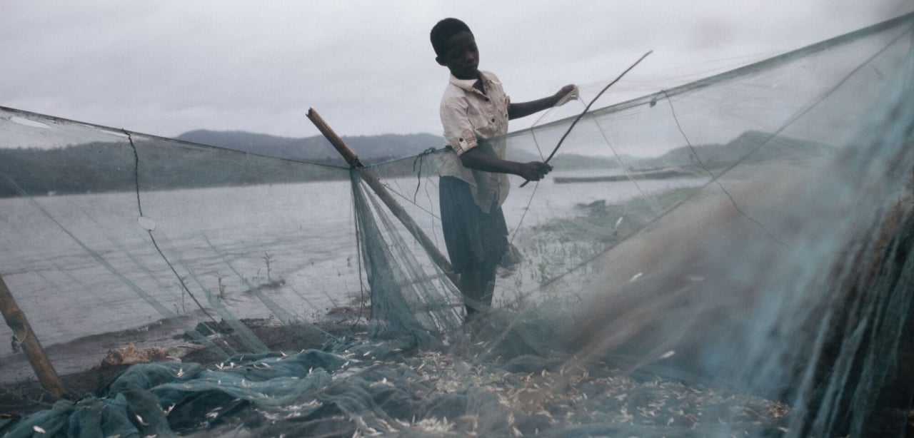 Ghana 132 jpg 201907 ACC Ghanaian Children on Lake Stock Photos Approved for Full Use