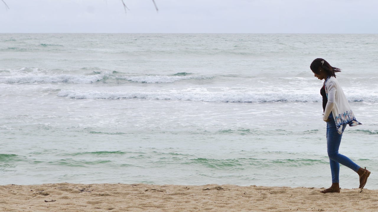 IJM Deisy header