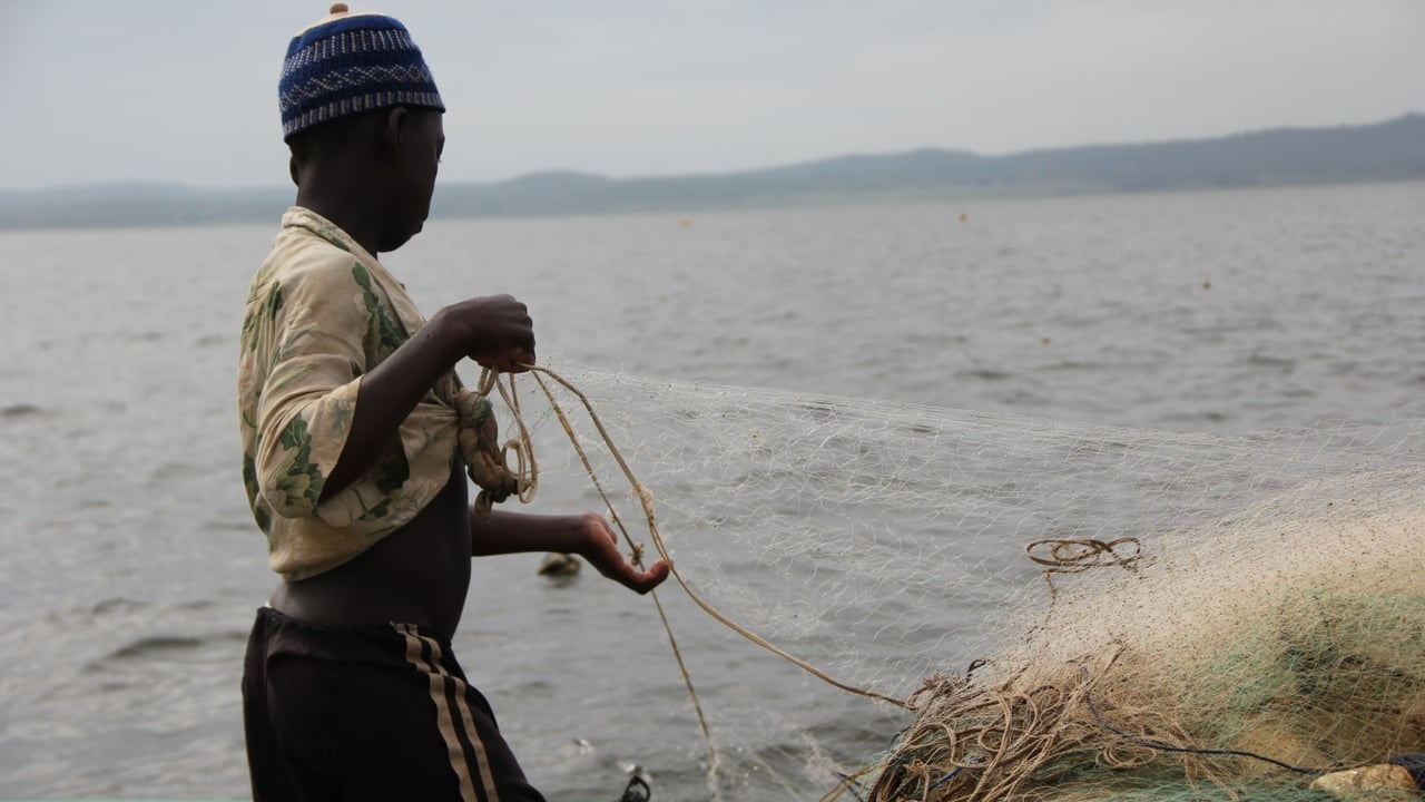 IMG 4036 JPG 201606 ACC June Trip to Lake Volta Approved for Full Use