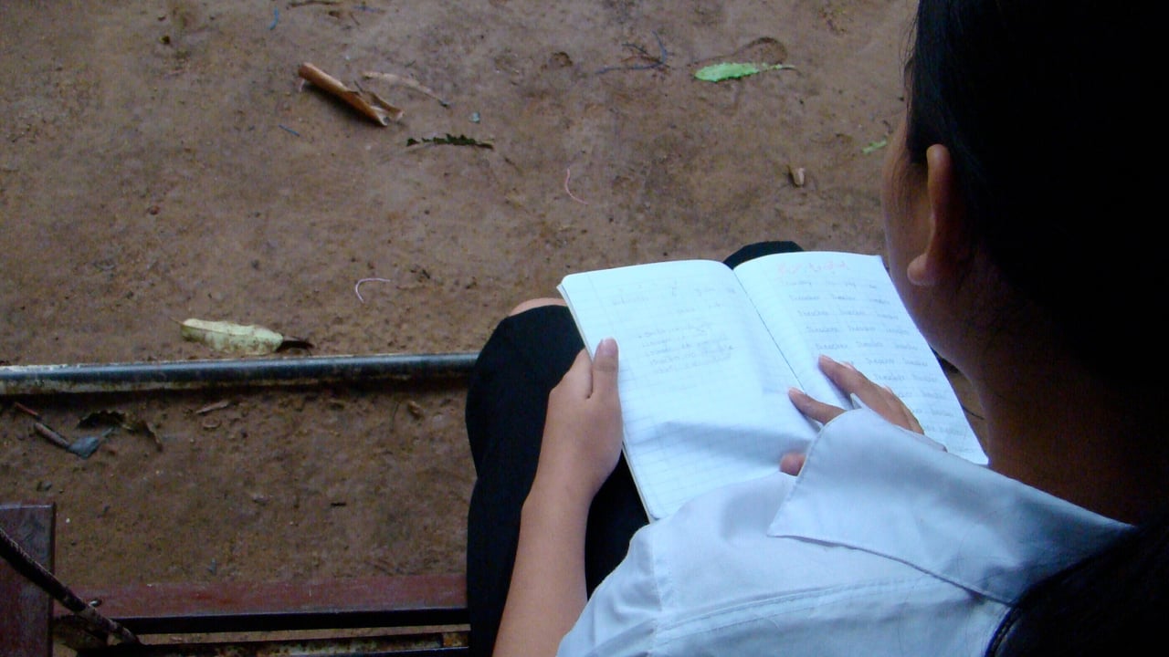 Survivor trafficking Southeast Asia